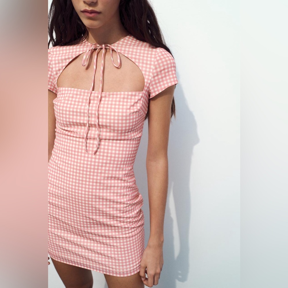 Zara Tied Gingham Dress Small NWT